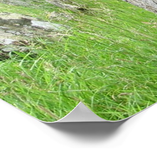 アイルランド墓地 ポスター (角)