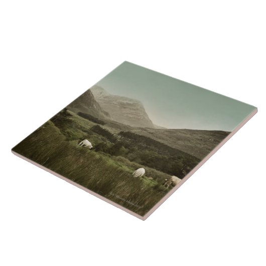 アイルランド山場面 タイル (側面)