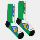 アイルランド愛国的なアイリ地球に優しッシュ国旗のソックス ソックス (右)