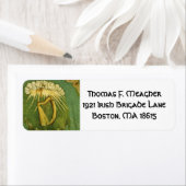 アイルランド旅団 ラベル (インサイチュ)