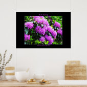 アイルランド春ポスタープリント ポスター (キッチン)