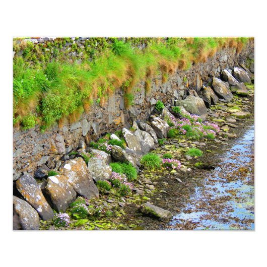 アイルランド春#1 フォトプリント            (正面)