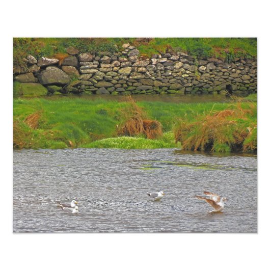 アイルランド春#2 フォトプリント            (正面)