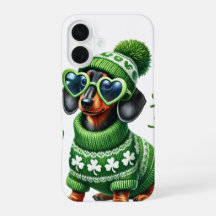 アイルランド服を着たかわいいダシュント犬