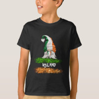 *~*アイルランド格言ボーイ国旗Tシャツ