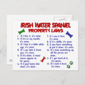 アイルランド水スパニエル犬財産法2 ポストカード (正面/裏面)