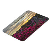 アイルランド磁石，ドオリン マグネット (左側)