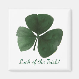 アイルランド磁石 マグネット