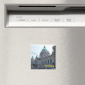 アイルランド磁石 マグネット (インサイチュ (食洗機))