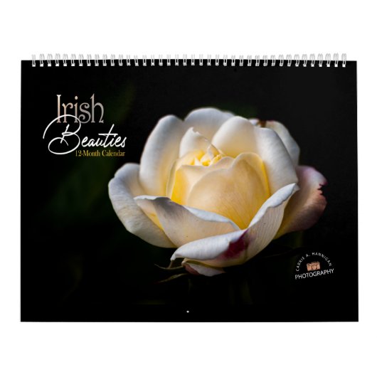 アイルランド美しい カレンダー (カバー)