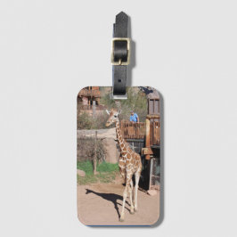 アイルランド荷物タグ#1 ラゲッジタグ