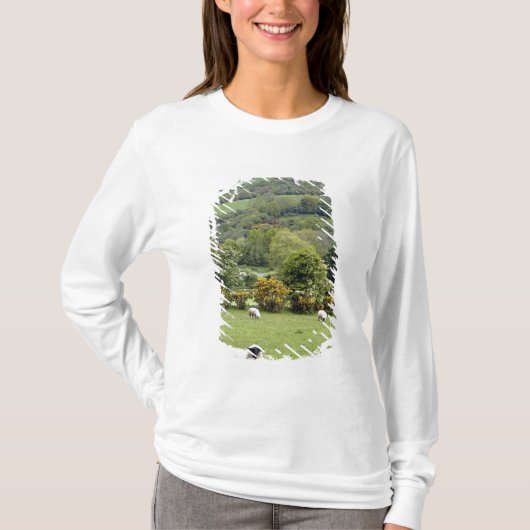 アイルランド西部、ディングル半島、広々とした Tシャツ (正面)