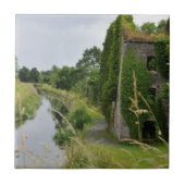 アイルランド運河 タイル (正面)