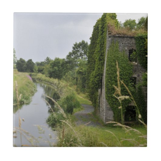 アイルランド運河 タイル (正面)