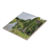 アイルランド運河 タイル (側面)