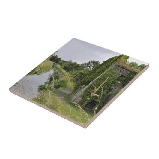 アイルランド運河 タイル (側面)