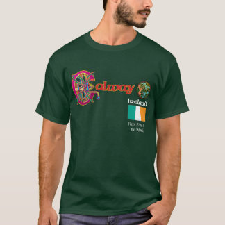 アイルランド郡ゴールウェイの暗闇のTシャツ Tシャツ