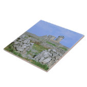 アイルランド、イニシュモア、アラン島、ダン・アエンガス砦 タイル (側面)