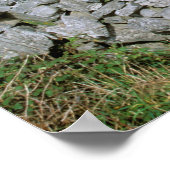 アイルランド、イニシュモア、アラン島、ダン・アエンガス砦 ポスター (角)