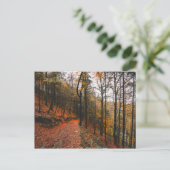 アイルランド、ウィックロー山々の悪魔の緑 ポストカード (スタンド正面)