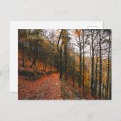 アイルランド、ウィックロー山々の悪魔の緑 ポストカード (正面/裏面)