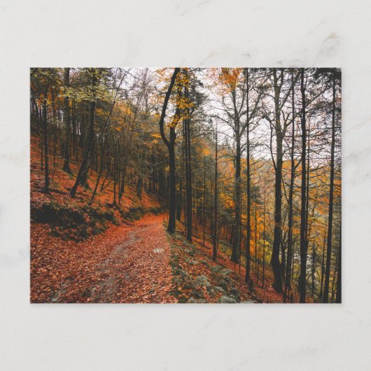 アイルランド、ウィックロー山々の悪魔の緑 ポストカード (正面)