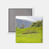 アイルランド、グレンダフ。栄光は～の一つである マグネット (正面/裏面)