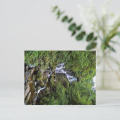 アイルランド、ケリーの滝（リング・オブ・ケリー） ポストカード (スタンド正面)