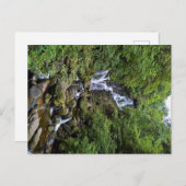 アイルランド、ケリーの滝（リング・オブ・ケリー） ポストカード (正面/裏面)