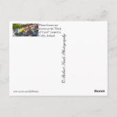 アイルランド，コブ ポストカード (裏面)