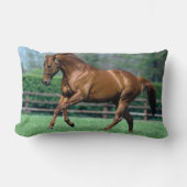 アイルランド,サラブレッド・スタリオン ランバークッション (正面)