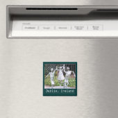 アイルランド，ダブリンの像 マグネット (インサイチュ (食洗機))