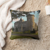 アイルランド，ドロモランド城側入口 クッション (ブランケット)