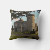 アイルランド，ドロモランド城側入口 クッション (裏面)