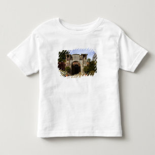 アイルランド·ドロモランド城壁庭園 トドラーTシャツ