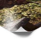 アイルランド、ドロモランド城壁庭園 フォトプリント            (角)