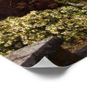 アイルランド、ドロモランド城壁庭園 ポスター (角)