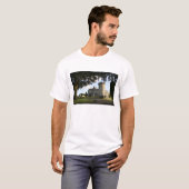アイルランド、ドロモランド・キャッスルの脇道入口 Tシャツ (正面フル)
