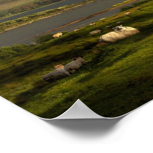 アイルランド ポスター (角)