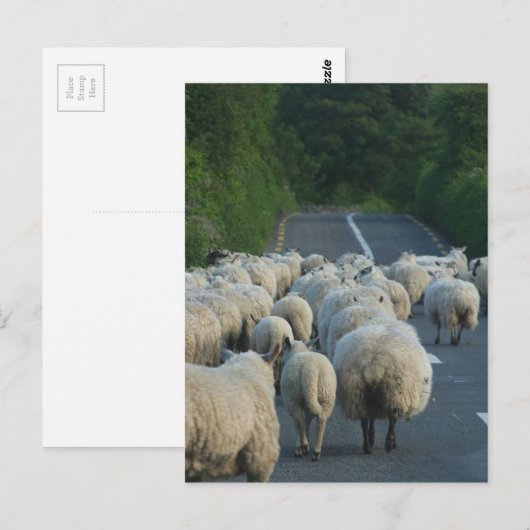 アイルランド ポストカード (正面/裏面)