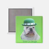 アイルランド マグネット (正面/裏面)