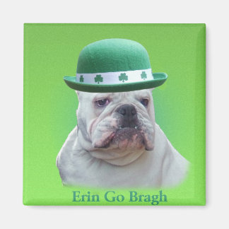 アイルランド マグネット