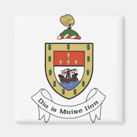 アイルランド メイヨー県 マグネット (正面)