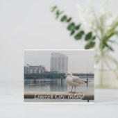 アイルランド,リメリック市 ポストカード (スタンド正面)