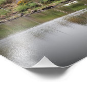 アイルランド、郡コルク、湖、白鳥、写真 フォトプリント            (角)