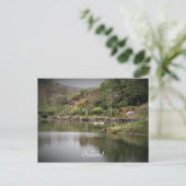 アイルランド、郡コルク、湖、白鳥、写真 ポストカード (スタンド正面)