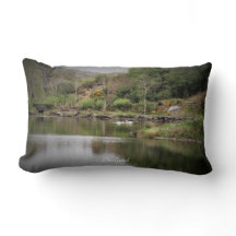 アイルランド、郡コルク、湖、白鳥、写真