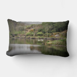 アイルランド、郡コルク、湖、白鳥、写真 ランバークッション