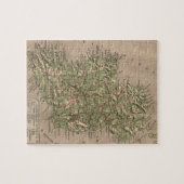 アイルランド(1880年)のヴィンテージの物理的な地図 ジグソーパズル (横)