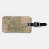 アイルランド(1880年)のヴィンテージの物理的な地図 ラゲッジタグ (正面横)